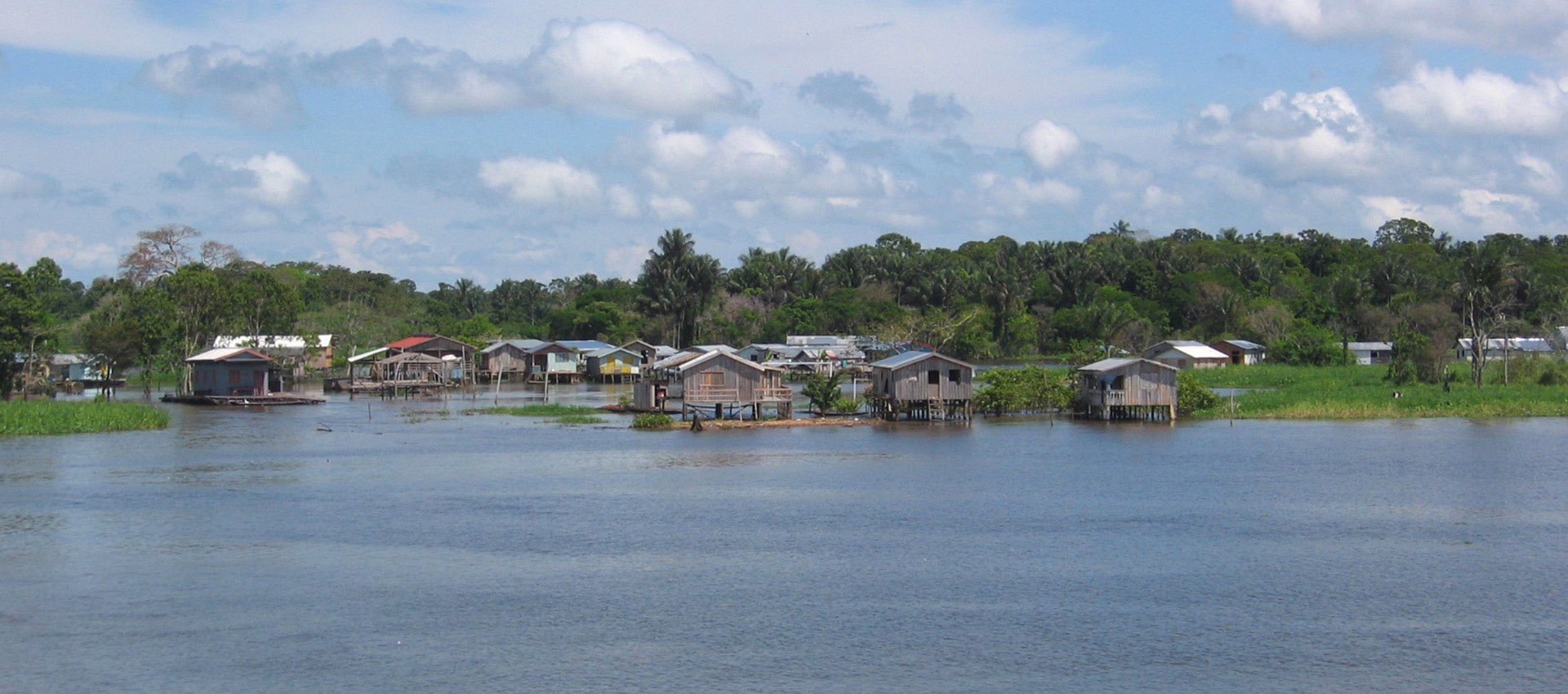 Sínodo por la Amazonía: Alfredo Ferro SJ abre perspectivas nuevas