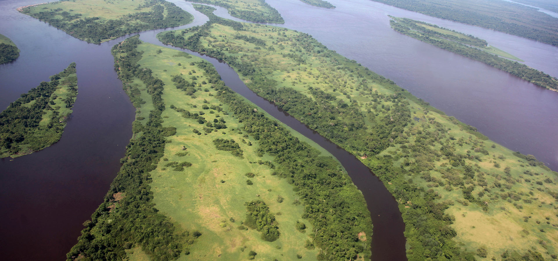 Il Sinodo sull’Amazzonia… una prospettiva africana