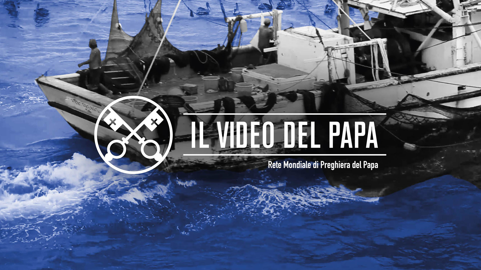 Il mondo del mare