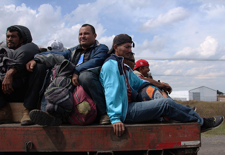 Liberi di scegliere se migrare o restare – 109ª Giornata Mondiale del Migrante e del Rifugiato