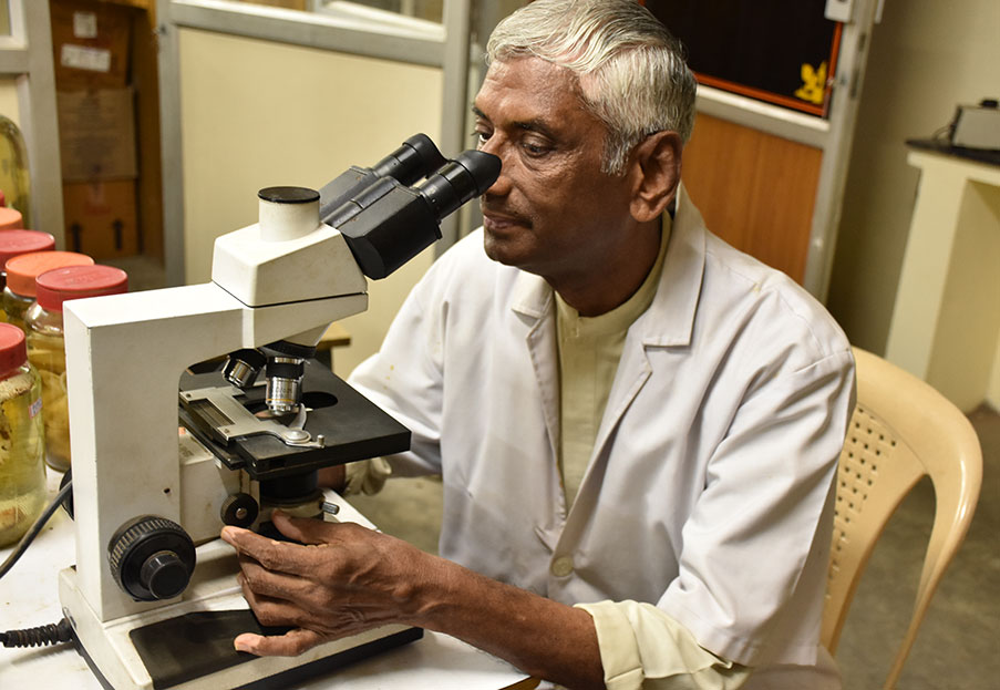 Savarimuthu Ignacimuthu, SJ: un biologo… e molto di più