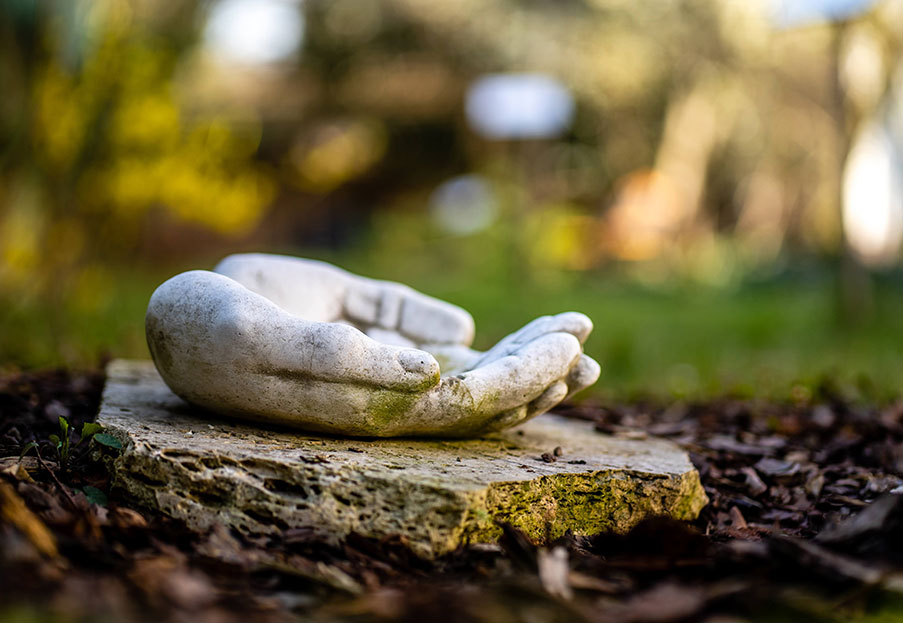Il dialogo tra fede e scienza nello spirito della <i>Laudato si’</i>