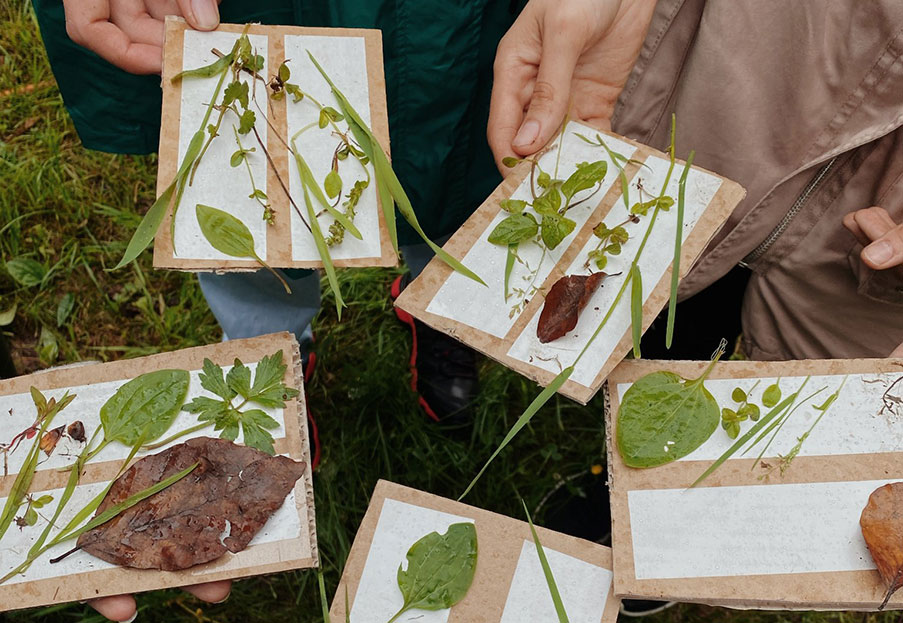 Cercle scientifique VIRIDIS&nbsp;: pour la planète et pour les personnes