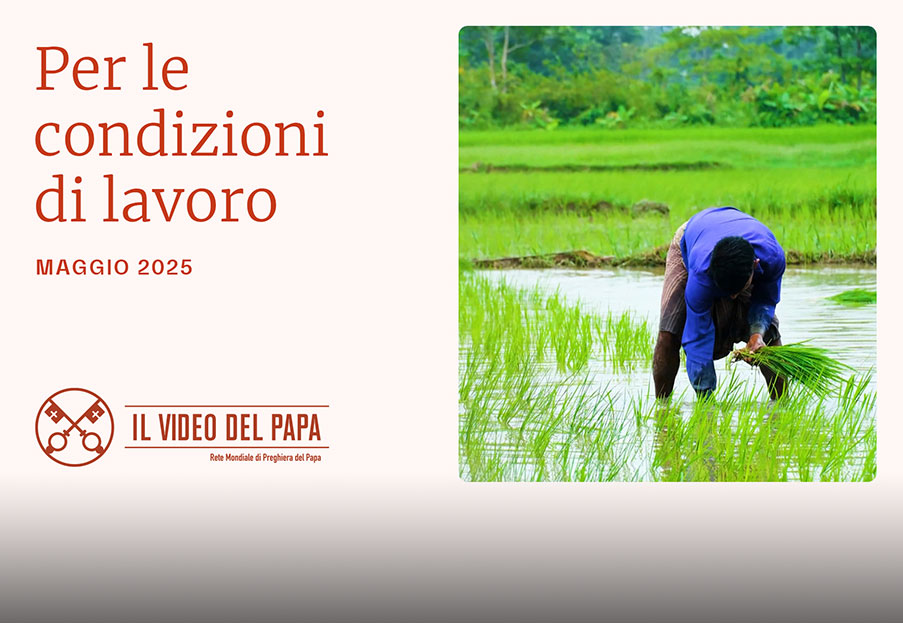 Per le condizioni di lavoro – Il Video del Papa