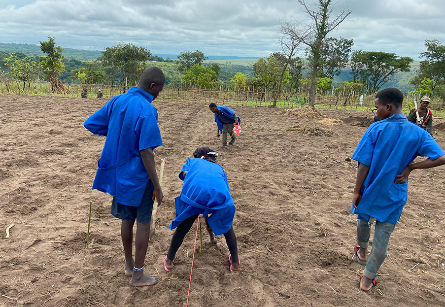 Un’iniziativa per promuovere l’ecologia olistica a Iniangi, nella Repubblica Democratica del Congo