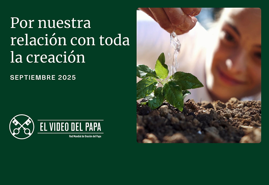 Por nuestra relación con toda la creación – El Video del Papa