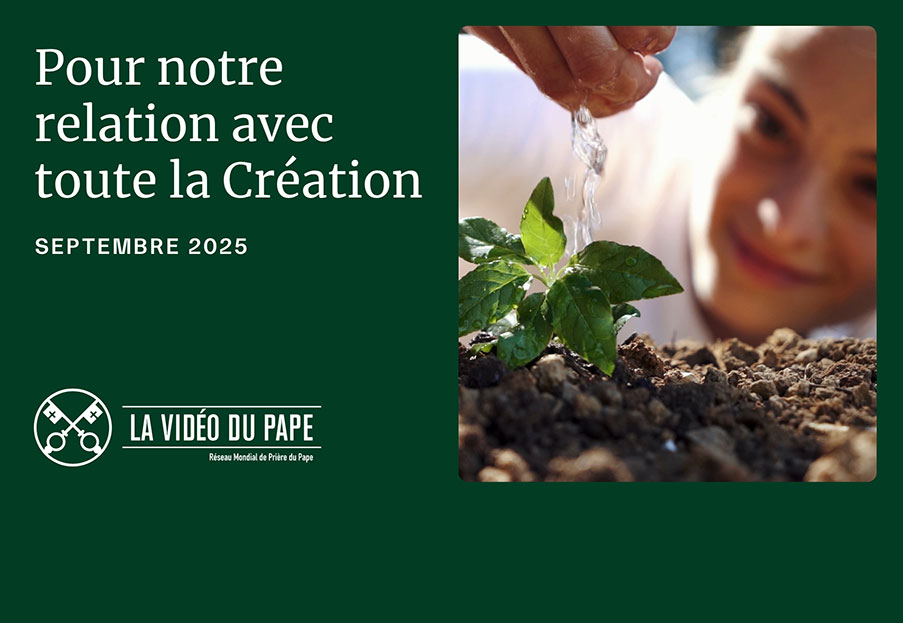 Pour notre relation avec toute la Création – La Vidéo du Pape
