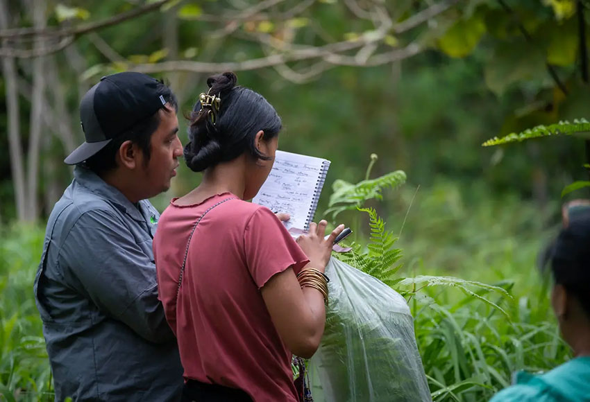 2026-07-15_jcap-ecology_ph03